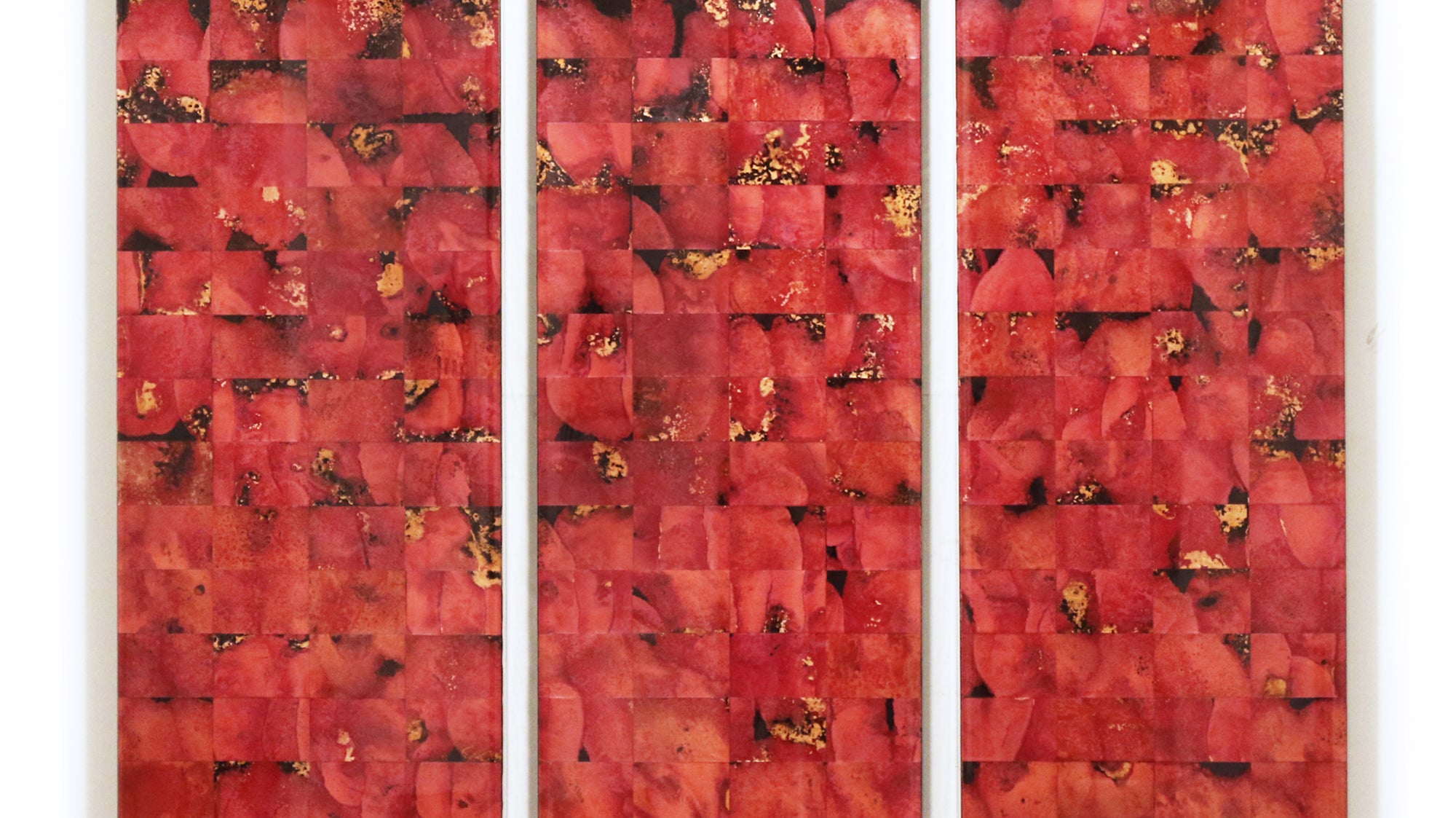 FEATURE ARTIST: Adam Colangelo