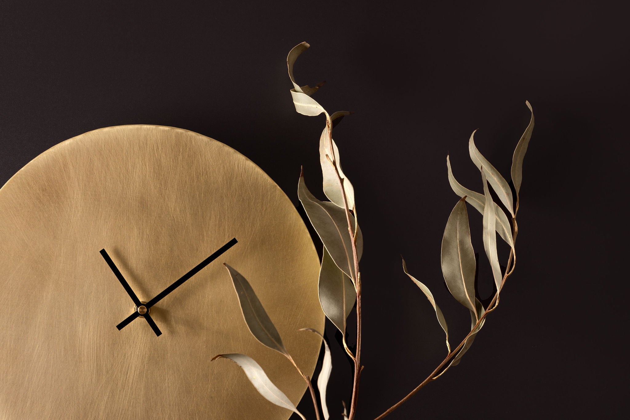 A golden, brass clock with thin black hands sits in the bottom left of the frame, taking up about 50% of the image. Behind the clock is a charcoal coloured wall. In front of the clock is a thin branch of olive leaves. The image is landscape and clock is made by Empire Copper.