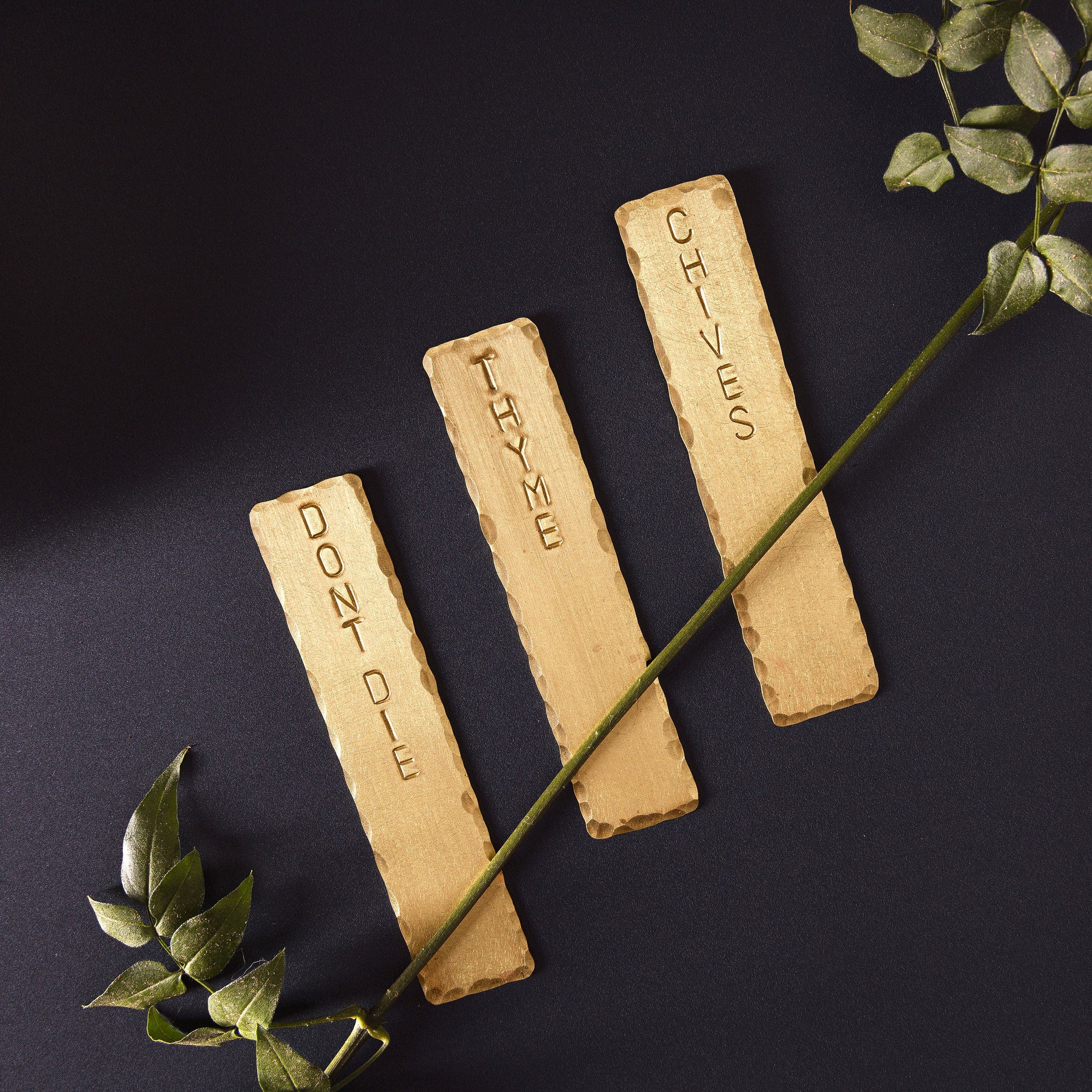 A set of three, garden herb tags. The tags are made from brass and are engraved: "Don't Die", "Thyme" and "Chives". The tags are made in Perth by Empire Copper.
